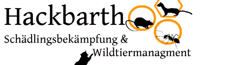 Hackbarth Shop